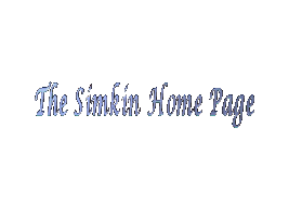 Simkin Logo